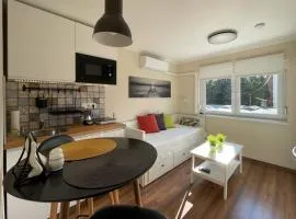 Salubris Apartman