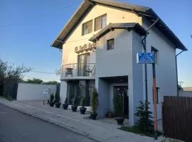 Cazare Paiu VasiVasi