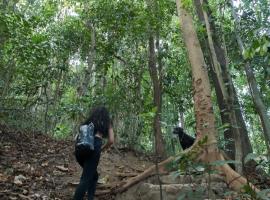 JIVA Nest Self-Service Tiny Home in Rainforest Nest with Kitchen - WiFi, Monkeys, Bats!，位于Subic Bay Intl的酒店