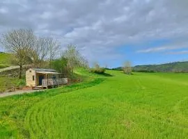 Tiny Mirador à la Ferme