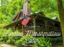 Pigeonforge Cabin Game Roomdog Friendlyhot Tub