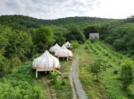 Peace Camp Gremi