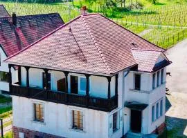 Villa BEST VIEW near Colmar- FREE PARK & WIFI