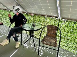 Garsoniera，位于Dorohoi的住宿