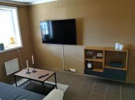 Cozy apartment close to many experiences