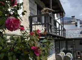 Casa Carina - Enchanted rustico in Mergoscia