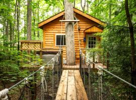 Breathtaking Tree House Rental near Charleston, West Virginia，位于Hico的酒店