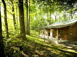 Romantic Cabin Rental in the Forest near Beckley, West Virginia，位于Hico的酒店