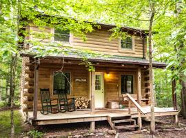 Pet-Friendly Cabin Rental in the Mountains near Beckley, West Virginia，位于Hico的酒店