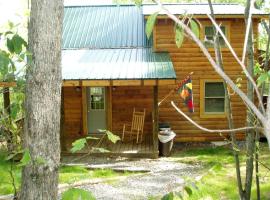 Rustic Cabin Rental near the Gauley River in West Virginia，位于Hico的酒店
