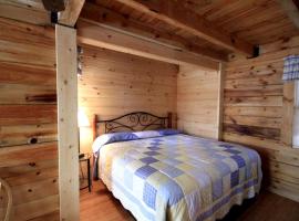 Spacious Cabin Rental with a Hot Tub near the Gauley River in West Virginia，位于Hico的酒店