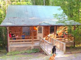 Rustic Cabin Rental in the Wilderness near Beckley, West Virginia，位于Hico的酒店