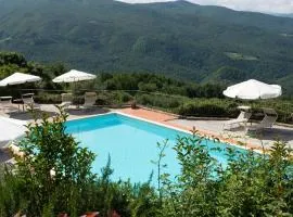 Universal Harmony - Cinciallegra