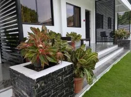 Nicholsons Apartments