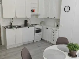 Tilava kaksio omalla pihalla