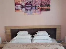 Cool Apartment Radauti