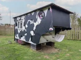 Buttercup Cow Shed 3