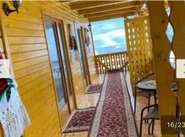 Camere de închiriat Floarea Reginei