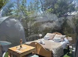 Bulle transparente