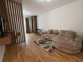 Travelers Home Downtown，位于Ipoteşti的酒店