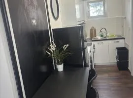 Art decor luxury apartment