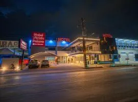 Vitoria Palace Hotel