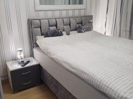Apartman Dolly Vrnjacka banja，位于弗尔尼亚奇卡矿泉镇的酒店