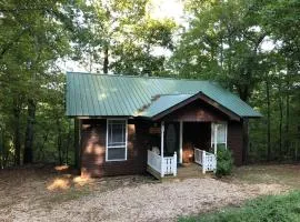 Ozark Spring Cabin Rock Bluff 03 King Bed Spa Tub