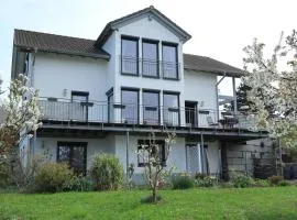 Ferienwohnung Rheingeschaut