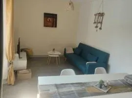 Maison de ville centrale