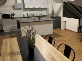 appartement centre mulhouse