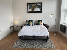 8 Clifton Terrace，位于道格拉斯的自助式住宿