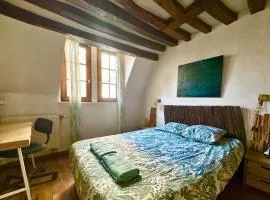 Lylylodge - T3 Rouen city center