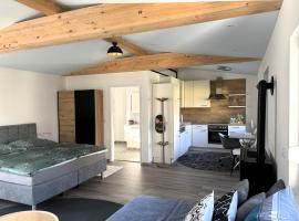 Apartment zur Schnapsstraße，位于Ybbsitz的酒店