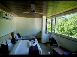 Hotel Mount view