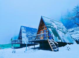 Dreams Villa A Frame Cabin，位于吉布的酒店