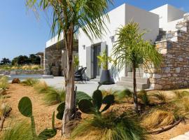 Villa Nerida -Island Living Paros-，位于德里奥斯的酒店