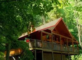 Alpine Joy-Hot Tub, Pond Access ,1089 of FREE tickets for each paid day, Dollywood and More!