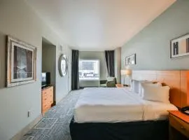 StripViewSuites at Platinum