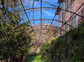 Maison de famille entre mer & collines - Charme, citronniers et tranquillité - accès marche et sentier 3 min