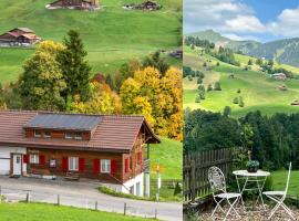 Engel Ingold Lodge Chalet "Bärgblümli"，位于哈布凯恩的木屋