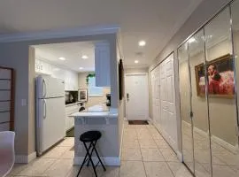Downtown Boca Apt