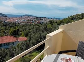 克里尼别墅旅馆，位于斯基亚索斯镇的宠物友好酒店