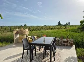 maison au cœur des vignes