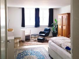 Appartements an der Kaiserpfalz - Königshof，位于福希海姆的酒店