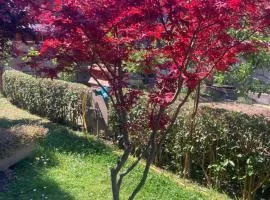 Delizioso appartamento in villa tra mare e città