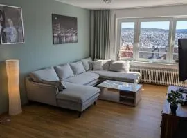 Elegant apartment with dream views