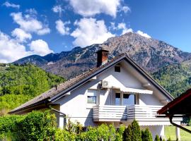 Apartma Storžič，位于普雷德沃尔的酒店