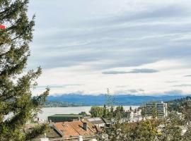 Large Flats, Zurich Lake HWA - Self Checkin，位于苏黎世的酒店