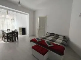 Apartament W SERCU PARKU